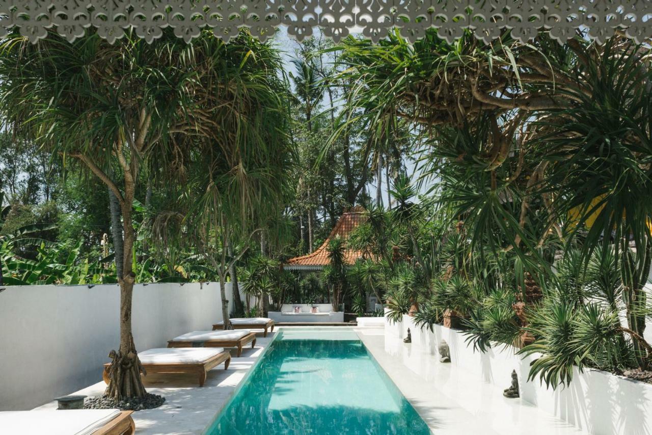 فيلا تْشانغوفي The Seseh House المظهر الخارجي الصورة